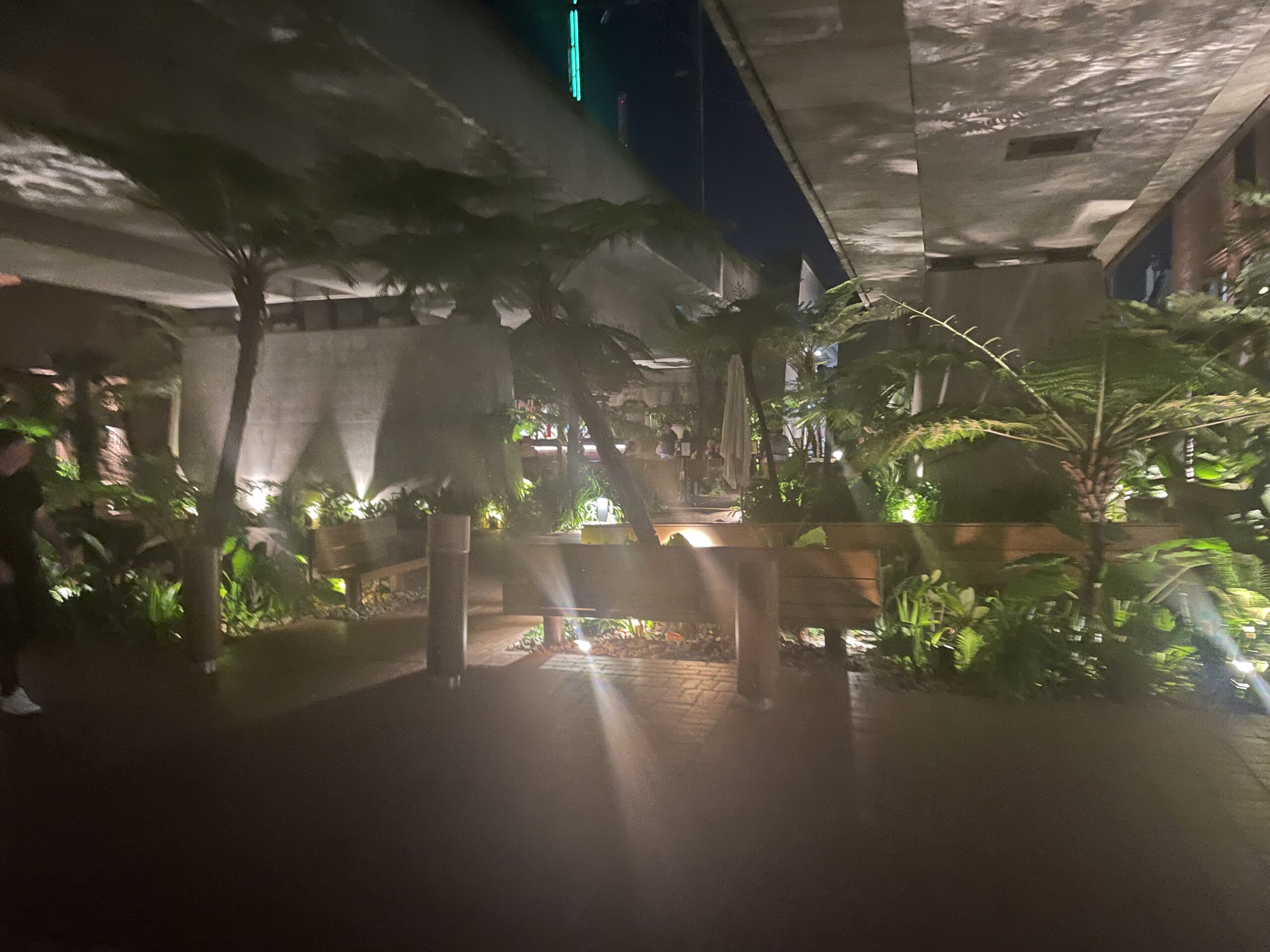 Emma + Matts Wedding