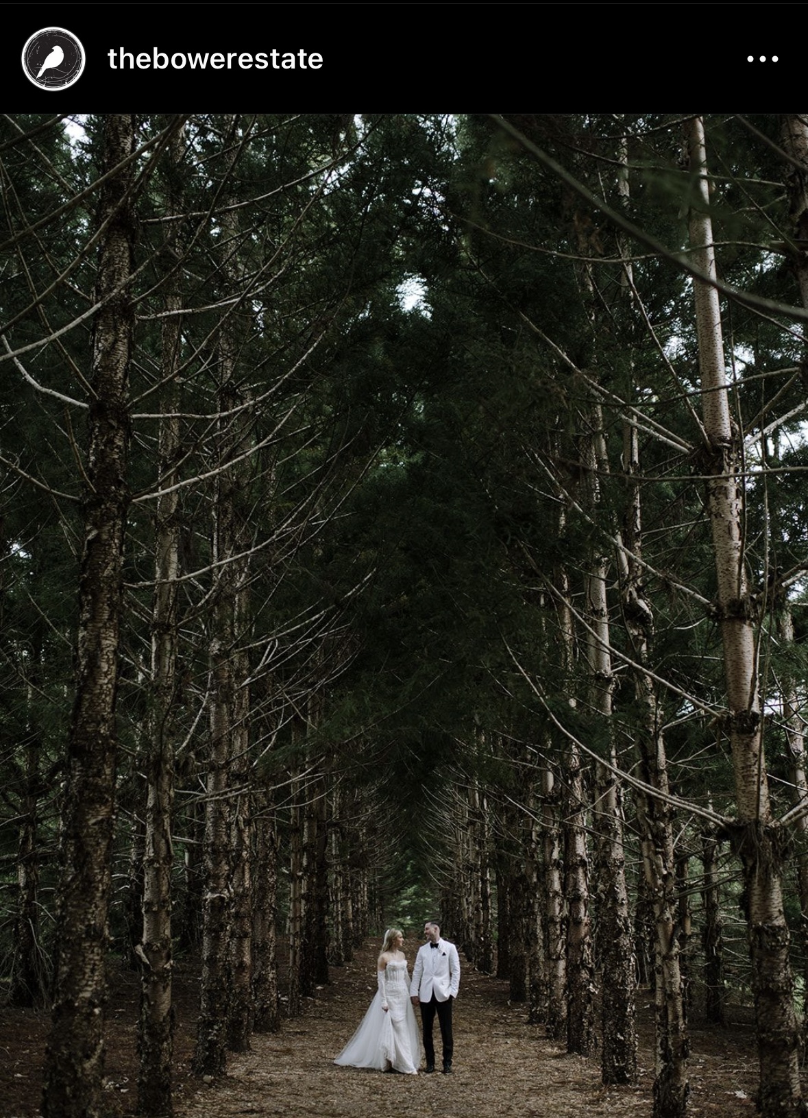 THEMACHSWEDDING2024