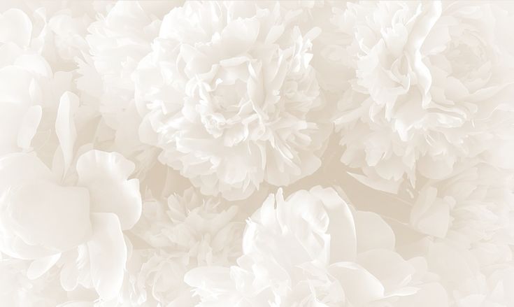 Jacinta & Briee Wedding Jacinta & Briee Wedding